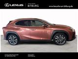 Lexus UX 300 h F-Sport Design 15 Jahre Lexus Relax Gar - Lexus UX Tageszulassungen