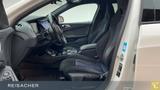 BMW 120i M-Sport,Aut,ParkAs,H&K,LiveCockpitProf,LED - BMW 120: 120i M Sport