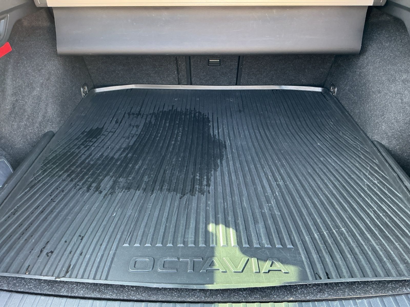 Skoda Octavia - Bild 14