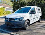 Volkswagen Caddy 2,0TDI 75kW  Dog Walker Ausbau - Volkswagen: Kleinbus, Ausbau