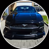 Ford Mustang Cabrio 2.3 EcoBoost  - Ford Mustang Gebrauchtwagen in Bielefeld