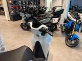 Honda SH125 2026 Cool White *sofort verfügbar* - HONDA ROLLER 125