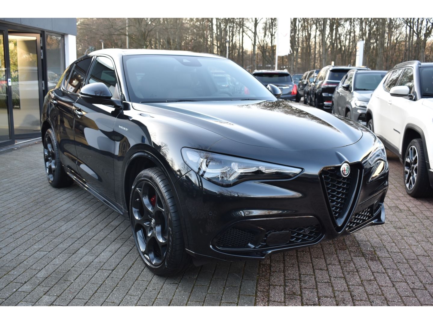 Fahrzeugabbildung Alfa Romeo Stelvio Veloce Q4 2.0 Turbo 16V - AHK - 21 Zoll-