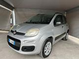 Fiat Panda 0.9 TwinAir Turbo Natural Power Loung - Fiat Panda mit CNG-Antrieb