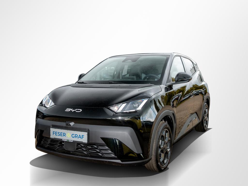 BYD Dolphin Surf Comfort 43,2 kWh/360°/SHZ/DAB/ACC