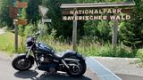 Harley-Davidson FAT BOB 200 AMC HD2 U-Station USB alle KD - CHOPPER US