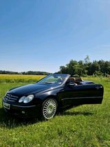 Mercedes-Benz Mercedes CLK 320 Cabrio - aus 2006: Mercedes Clk