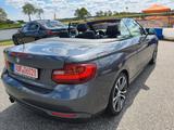 BMW 228 Baureihe 2 Cabrio 228 i ** Sport Line ** - : Cabrio, Sport