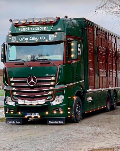 Mercedes-Benz 2551 FINKL 3-Stock Hubdach Austauschmotor 1.Hand