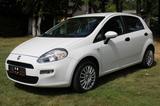 Fiat Punto LOUNGE - gebrauchte Fiat Punto aus dem Jahr 2014