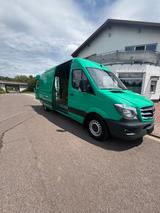 Mercedes-Benz Sprinter 316 CDI Maxi, Nebelschein., 270° H.T. - Mercedes-Benz Sprinter: Maxi