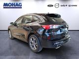 Ford Kuga 1.5l  ST-Line *SALE-AKTION*  -EU6d- - Ford Kuga: 1.6