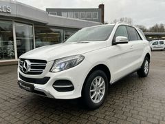 MERCEDES-BENZ GLE 250 d 4M+LED+NAVI+AHK+EASY-PACK+AMG INTERIEU