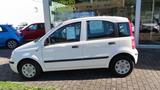 Fiat Panda 1.2 8V Classic 69 PS Weiss - gebrauchte Fiat Panda aus dem Jahr 2012