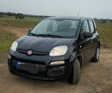Fiat New Panda 1.2 8V MYSTYLE MYSTYLE - schwarze Fiat New Panda