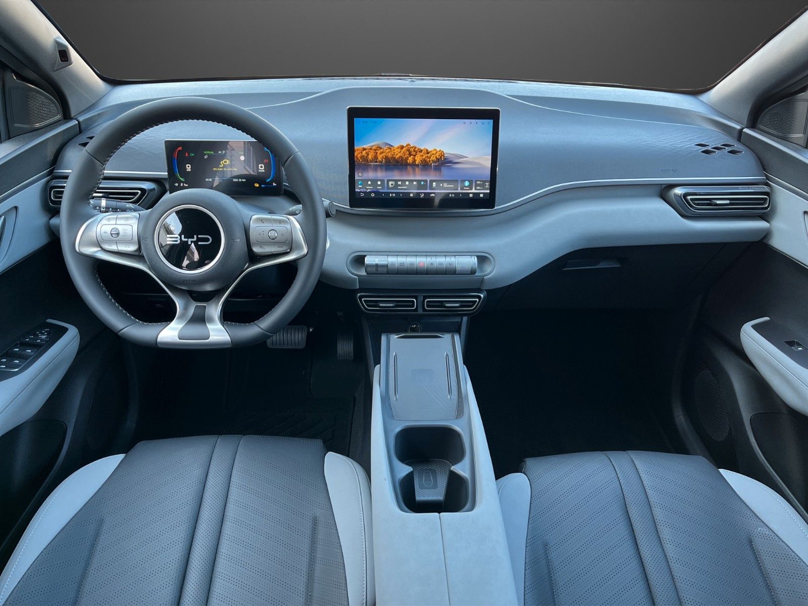 BYD DOLPHIN SURF