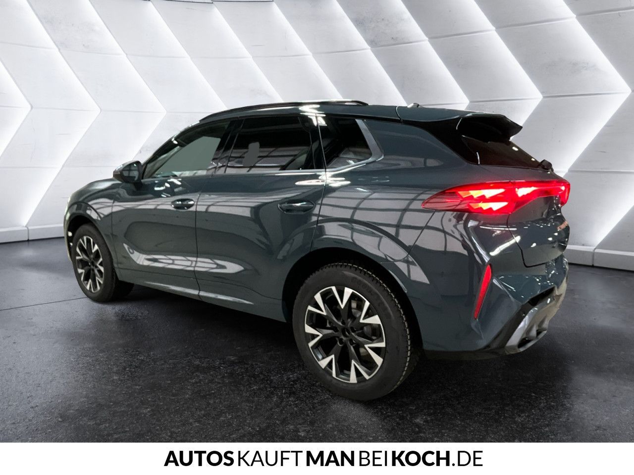 Cupra Terramar - Bild 6