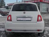 Fiat 500 0.9 TwinAir Navi Panorama Klimaaut. - Fiat Gebrauchtwagen