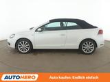 Volkswagen 2.0 TDI Lounge BlueMotion Tech *NAV*TEMP*CAM*PDC - mit Diesel-Antrieb: Cabrio