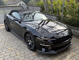 Ford Mustang Ecoboost, ehemaliger Ford Werkswagen - Ford Mustang: For