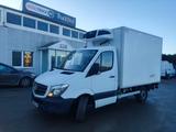 Mercedes-Benz Sprinter 319 CDI  /Carrier PULSOR 500/AC/Euro 6 - Angebote