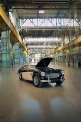 Austin Healey 3000 MK2 - gebrauchte Austin Healey Roadster