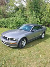 Ford Mustang GT Cabrio 305PS 4,6L V8 - Ford Mustang aus 2007