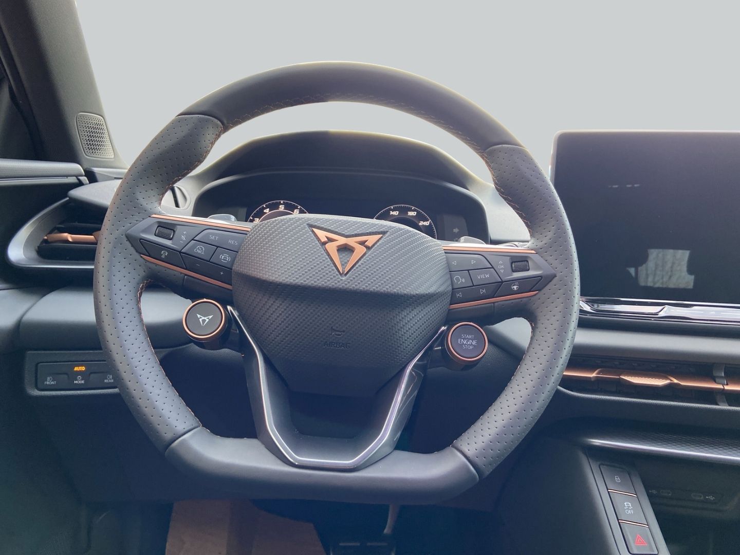 Cupra Terramar - Bild 9