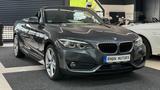 BMW 220i Cabrio Sport Line*Aut*LED*LEDER*CAM*18 Zoll - BMW Gebrauchtwagen von 2017