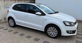 Volkswagen VW Polo 1.4 / Panoramadach - Volkswagen Polo: Panoramadach