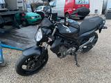 Suzuki GLADIUS - SUZUKI NÜRNBERG