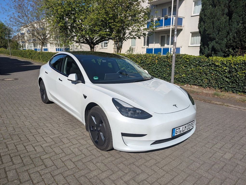 Image of Other Other