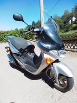 Suzuki Epicuro UC125 - Angebote