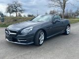 Mercedes-Benz SLK 250 CDI - Roadster - Mercedes-Benz SLK 250 mit Diesel-Antrieb: Cabrio
