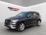 Mercedes-Benz ML 350 CDI AHK+STDHZG+AIR+CAM+PANO+360°+HdUp+ILS - Mercedes-Benz ML-Klasse Gebrauchtwagen in Stuttgart