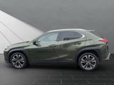 Lexus UX 250H*1HAND*TOTW*SCHECKHEFT* - Lexus UX aus 2020