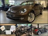 Volkswagen Beetle 2.0 TDI Cabriolet Sport|Navi|Xenon|Leder - Volkswagen Beetle mit Diesel-Antrieb