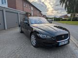 Jaguar XE 20d 180PS Pure Automatik Pure - Jaguar XE: Pure