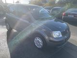Fiat Panda 1.2 8V Classic Zahnriemen neu - graue Fiat Panda