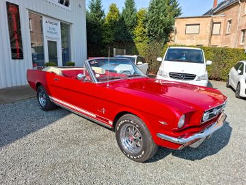 Ford Mustang Cabrio *Leder*Elektr. Verdeck*