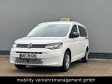Volkswagen Caddy Maxi DSG Weiß Taxi/Mietwagen Rollstuhl - : Taxi