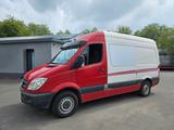 Mercedes-Benz Sprinter 313 CDI Tiefkühler Thermoking V300 - Mercedes-Benz Sprinter Gebrauchtwagen in Wuppertal