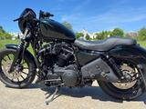 Harley-Davidson Sportster 883 Iron - Offers