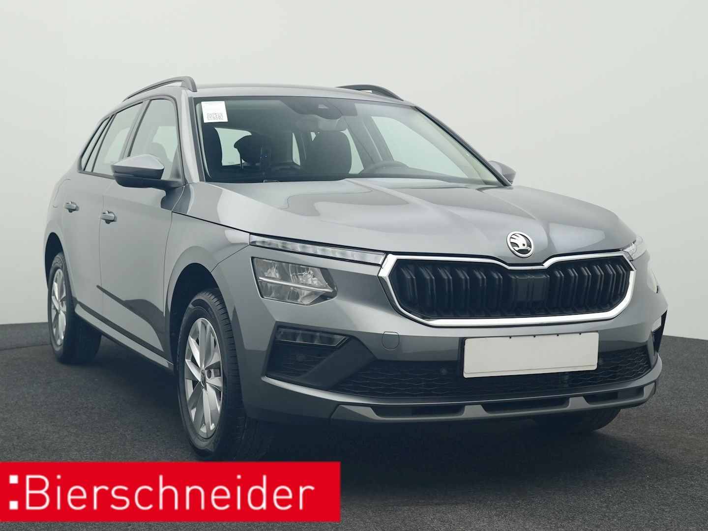 Skoda Kamiq - Bild 9