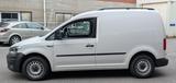 Volkswagen Caddy 2.0 TDi BMT*Automatik*AHK Regale - VW Caddy Gebrauchtwagen in Münster
