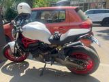 Ducati Monster 821 Red/White - DUCATI MONSTER 821