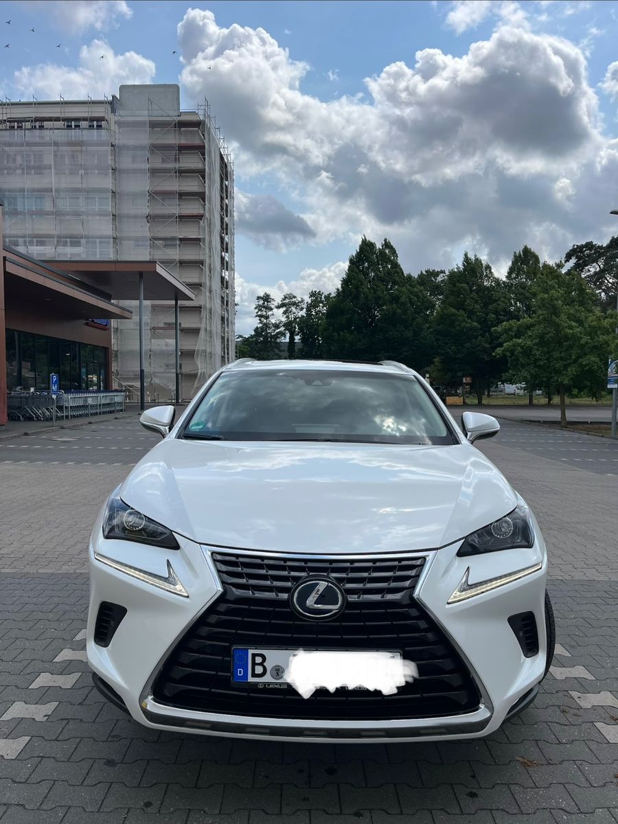 Lexus NX 300 300h E-FOUR F SPORT F SPORT