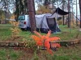 Volkswagen T6.1 Multivan mit umfassender Campingausstattung - Volkswagen Multivan