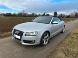 Audi A5 2.7 TDI Cabrio - S-Line 6Zyl - 1.Hand,SHZ,AHK - Audi: Cabrio, 2.6