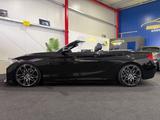 BMW M235 i Cabrio M2*HARMAN-KARDON*TEMPOMAT*LED*TÜV - BMW M235 aus 2015